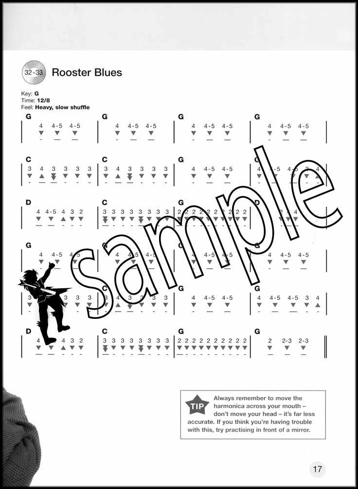 Starting Blues Harmonica Sheet Music Book/CD Learn How To Play SAME DAY