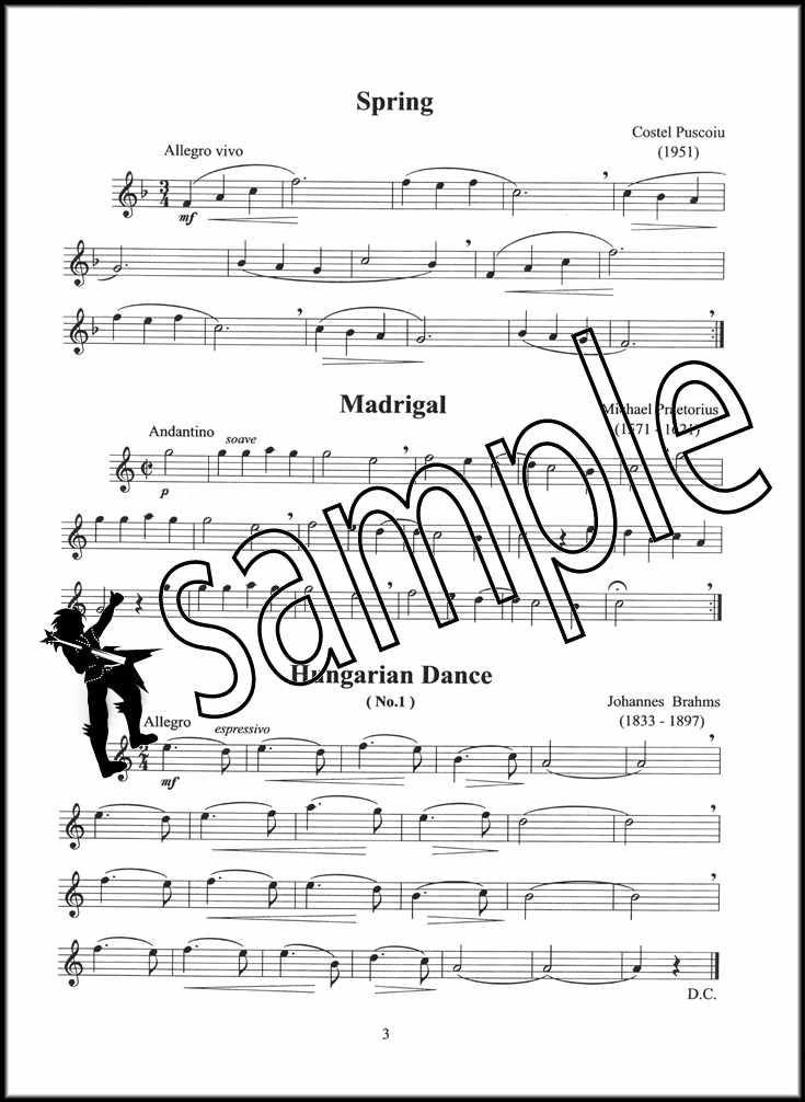 Solo Pieces for the Beginning Treble Alto Recorder Music Book SAME DAY