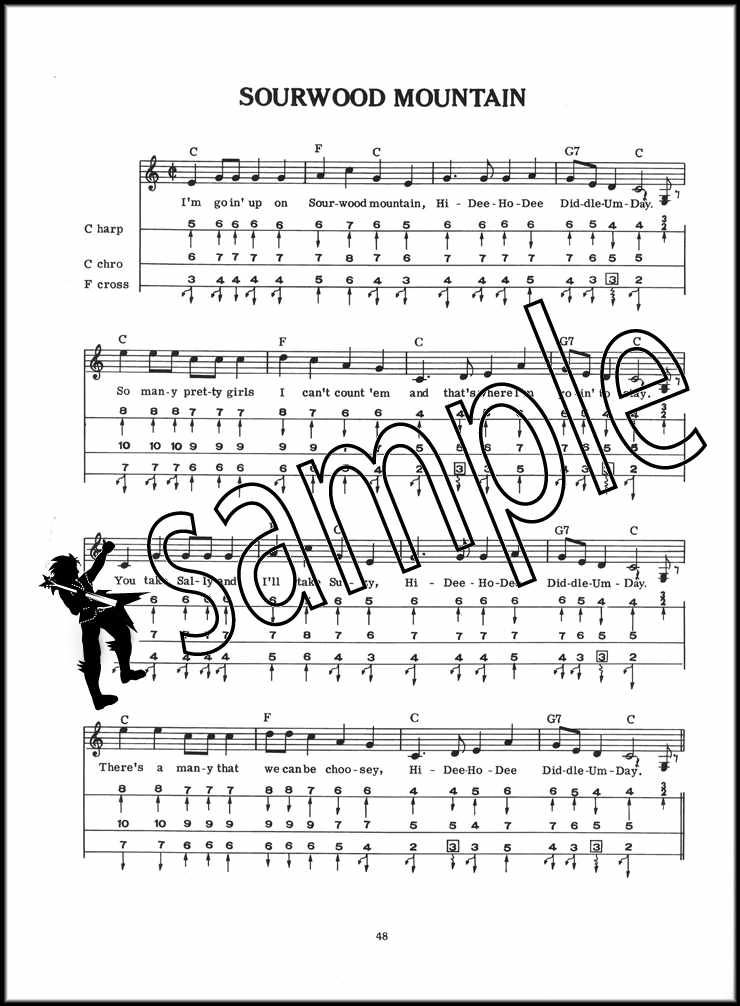 Bluegrass & Country Music for Harmonica Sheet Music Book/Audio SAME DAY