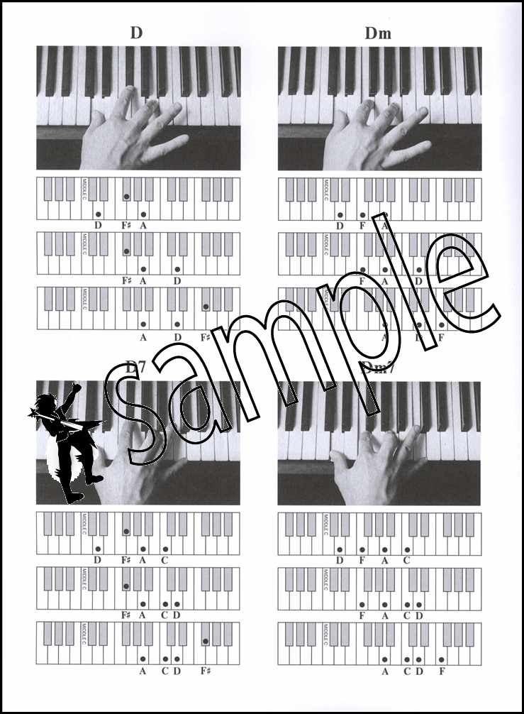 The Pianist's Picture Chords Piano Chord Book Guide to Useful Chords in