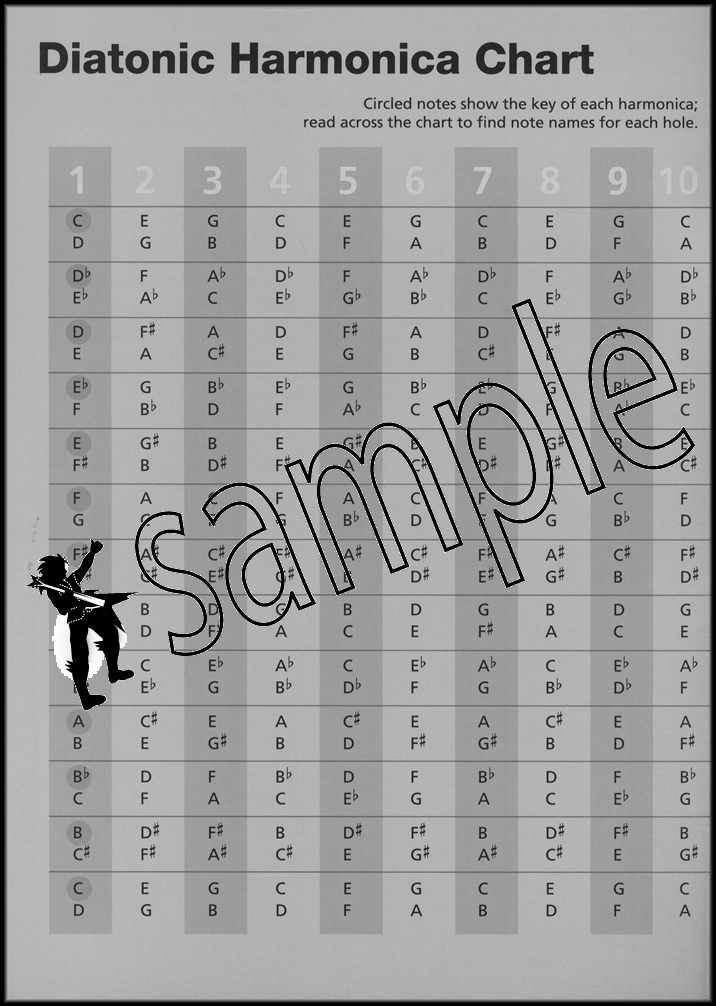 Diatonic Harmonica Chart Tone Hole Chart, Bend Chart, Scales & Notation Guide eBay