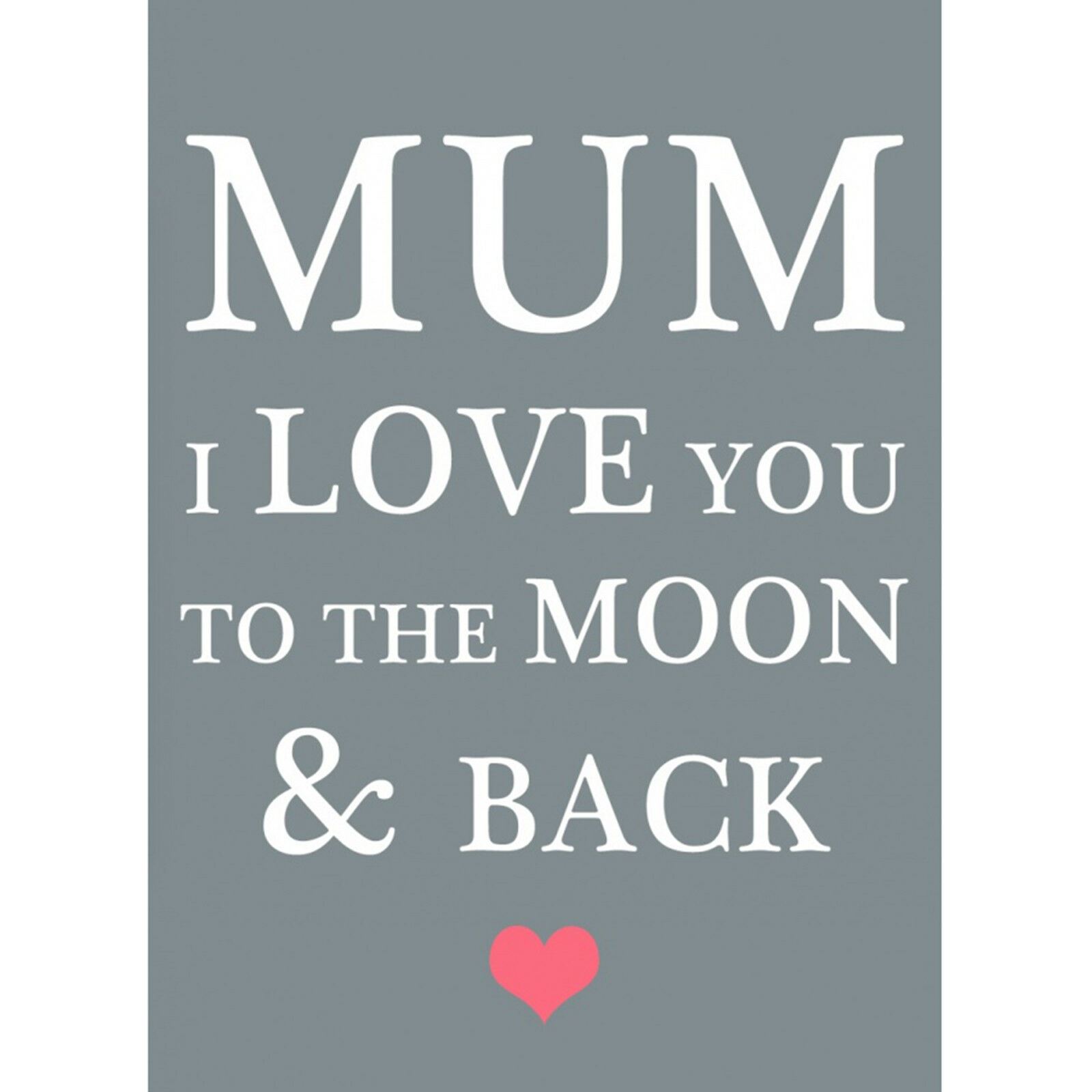 Mini Fridge Magnet Novelty Retro Vintage Sign Family Pets Sentiment Kitchen Gift - Bild 21 von 25