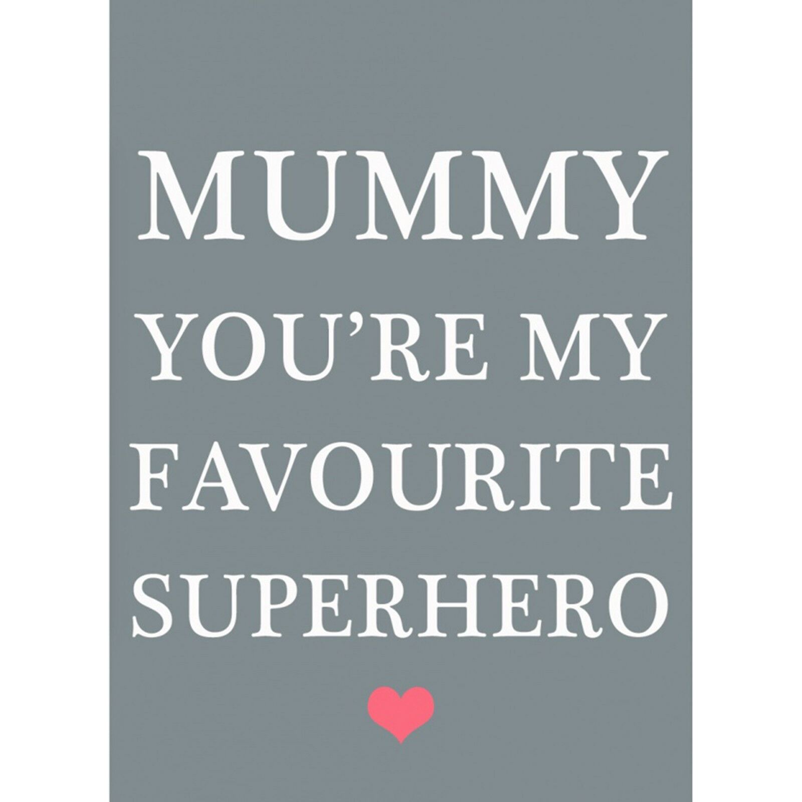 Mini Fridge Magnet Novelty Retro Vintage Sign Family Pets Sentiment Kitchen Gift - Bild 22 von 25