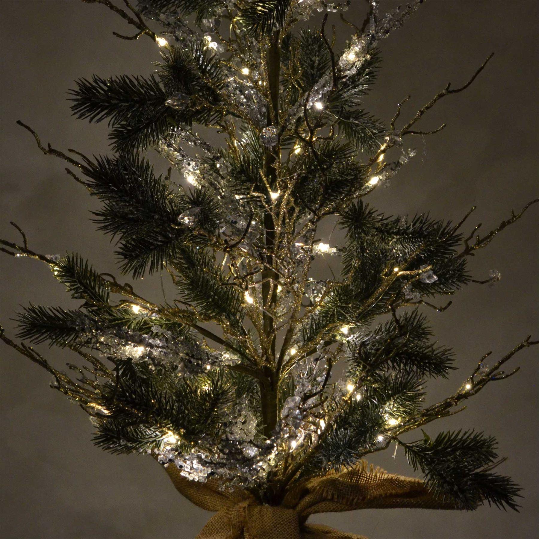 Picture 38 of 39