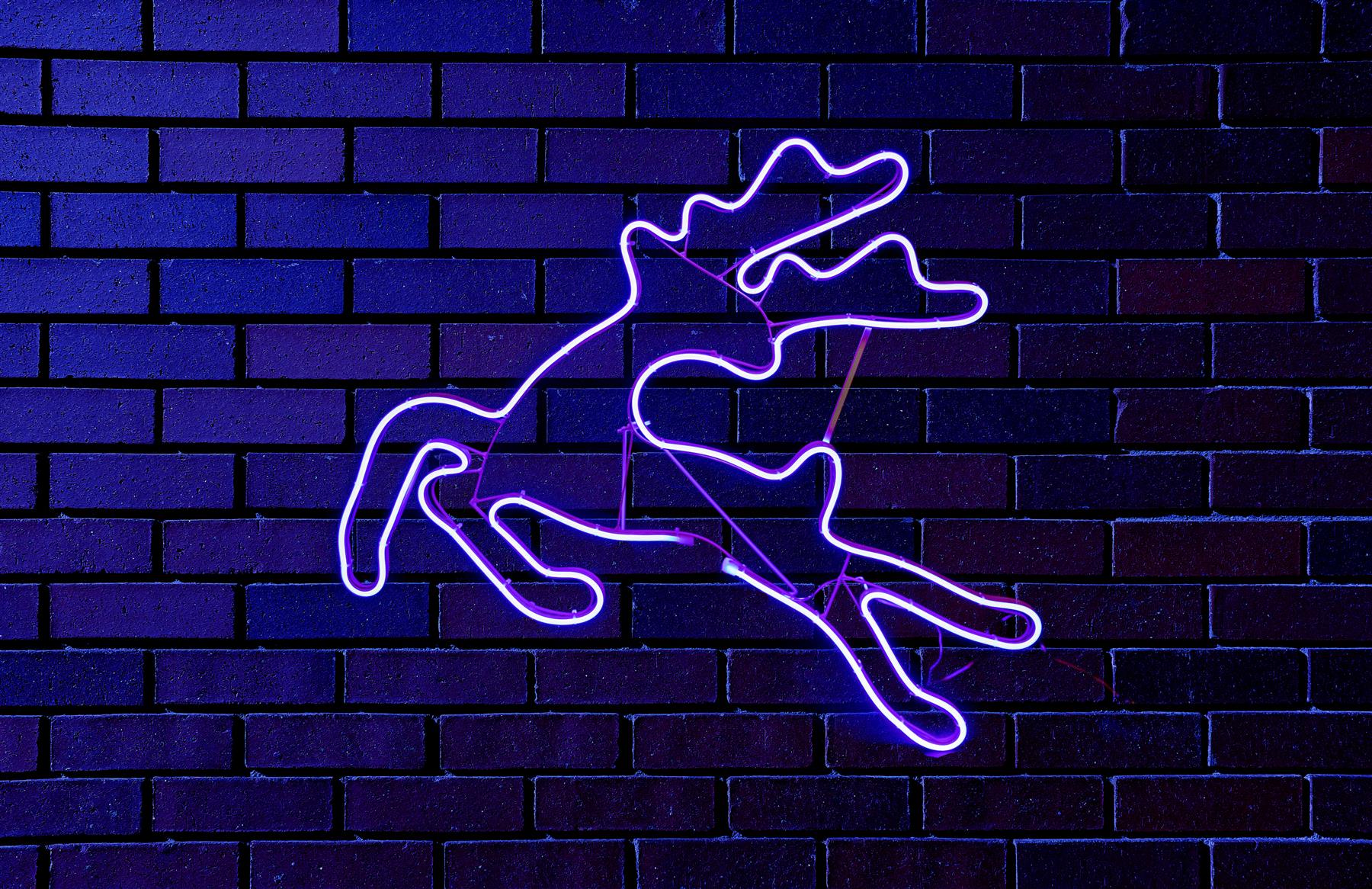 Neon Rope Lights Silhouette Christmas Outdoor Wall Garden Xmas Home Decoration - Picture 7 of 47
