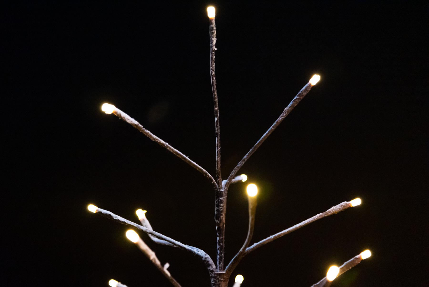 Birch Twig Tree Snowy Pre Lit Christmas Outdoor Indoor Lights Xmas Decoration eBay