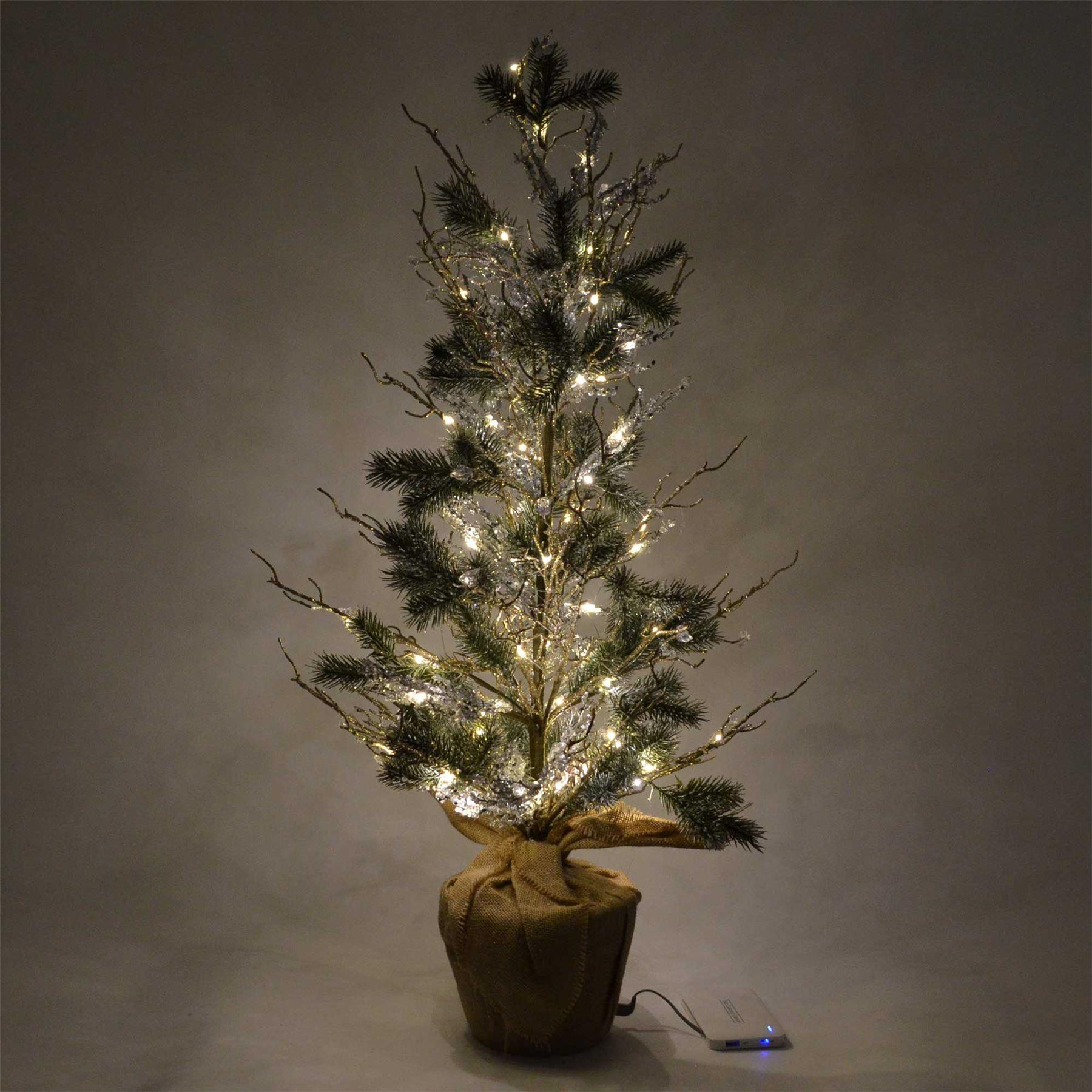 Picture 25 of 39