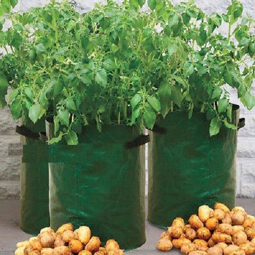 Potato Grow Bag Planter - Grow Your Own POTATOES POTATO 