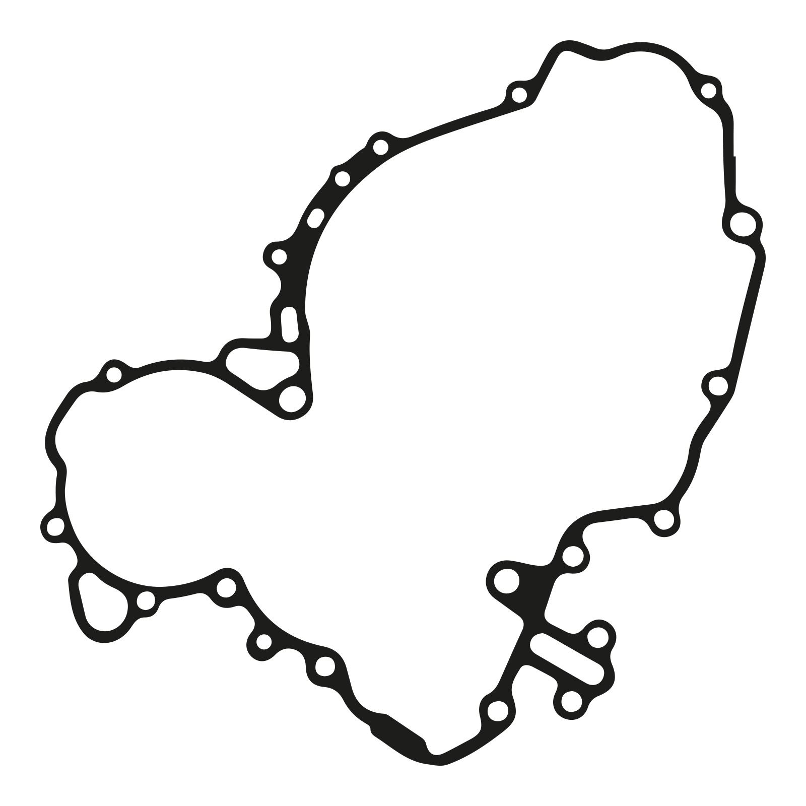 ktm duke 200 gasket