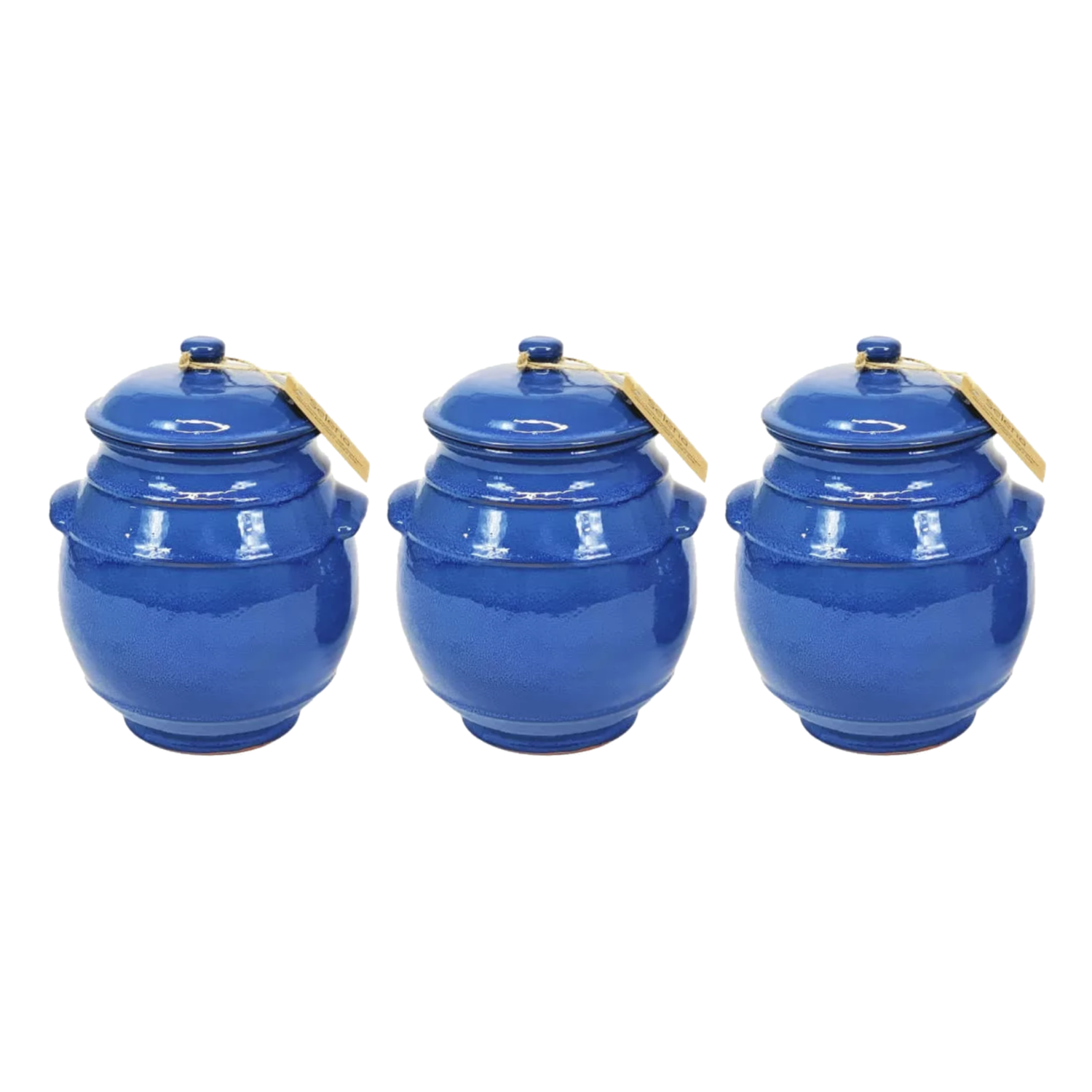 Ceramic Storage Jar w/ Lid Home Kitchen Dining Herb Spice Condiment Caddy Pot - Picture 9 of 27
