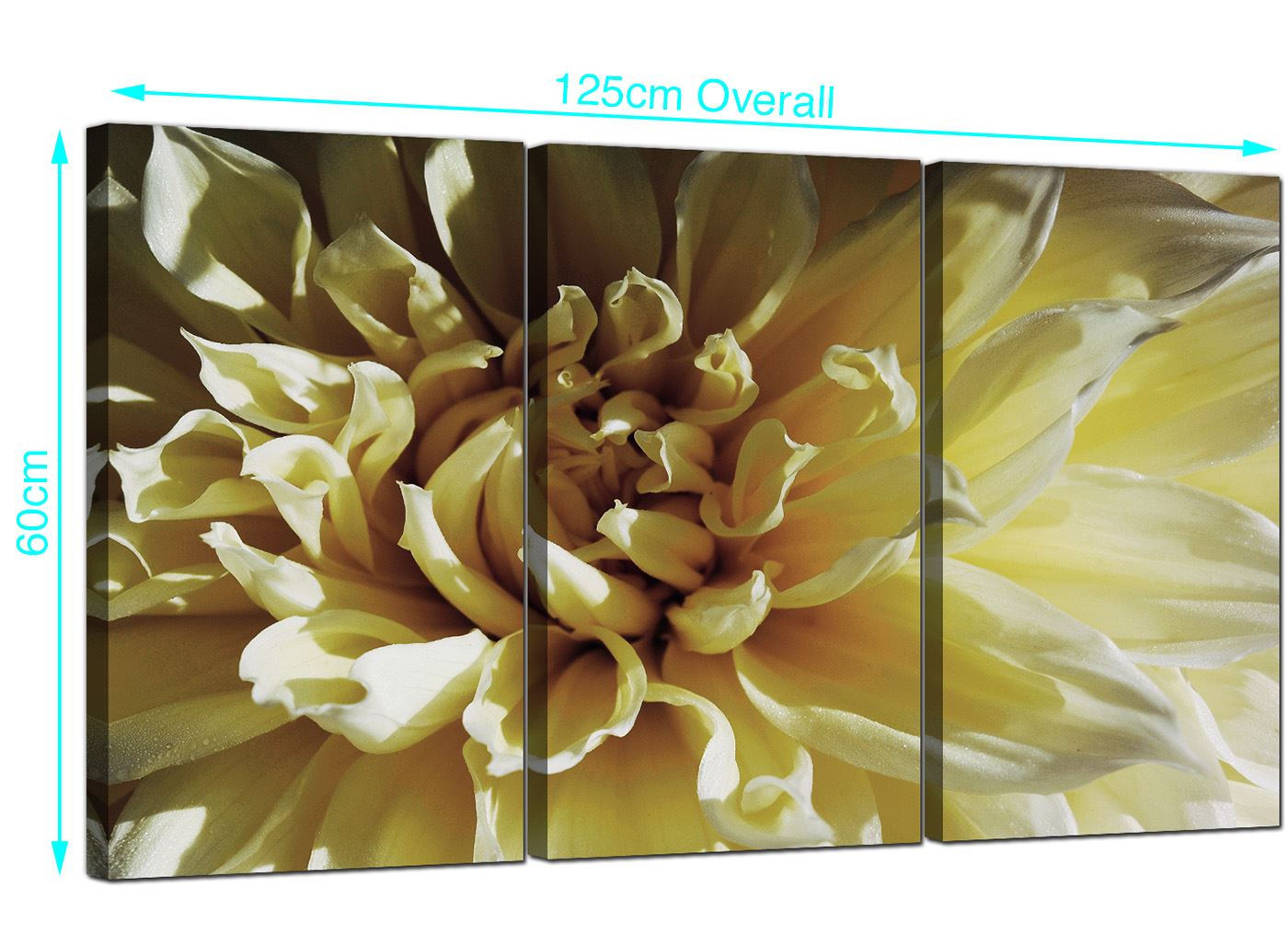 Set of 3 Cream Floral Canvas Prints Pictures Living Room Wall Art 3104 5060327322983 eBay