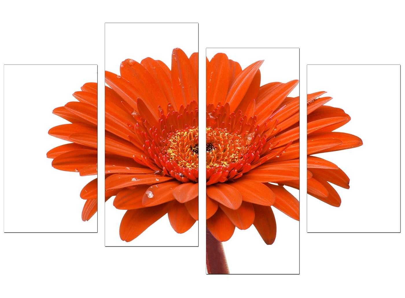 Large Orange Gerbera Daisy VW Canvas Wall Art Pictures Prints XL 4140
