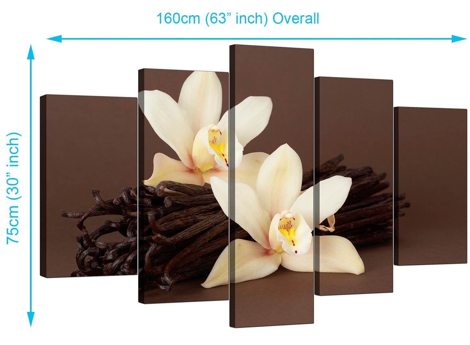 Set of 5 Piece Large Brown Cream Floral Canvas Wall Art Pictures 5121 5060327326806 eBay