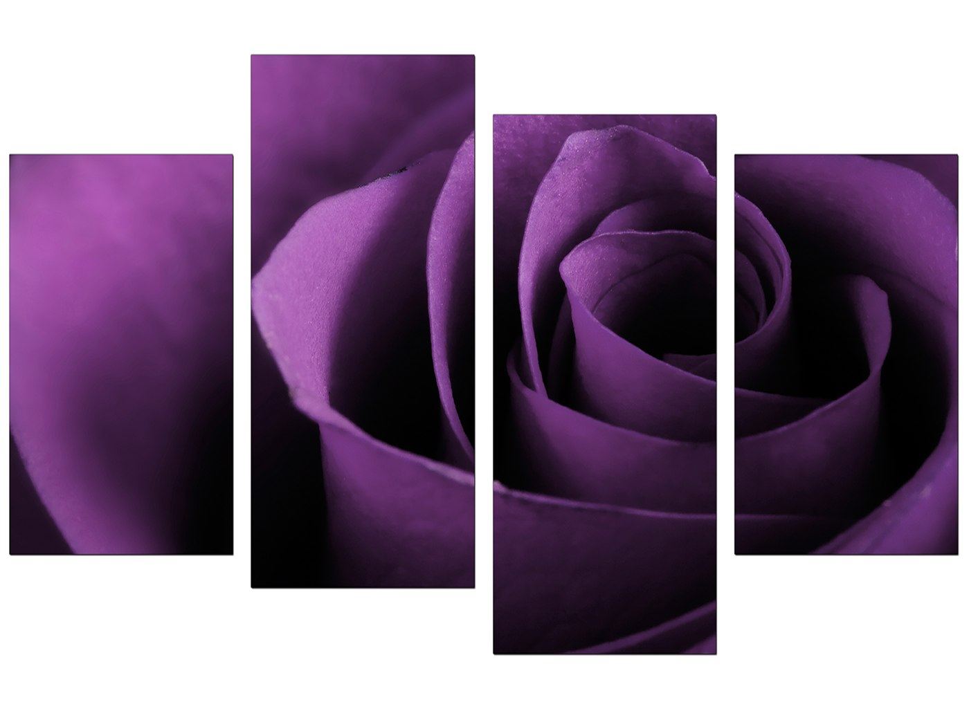 Large Purple Rose Floral Canvas Wall Art Pictures 130cm Prints XL 4112
