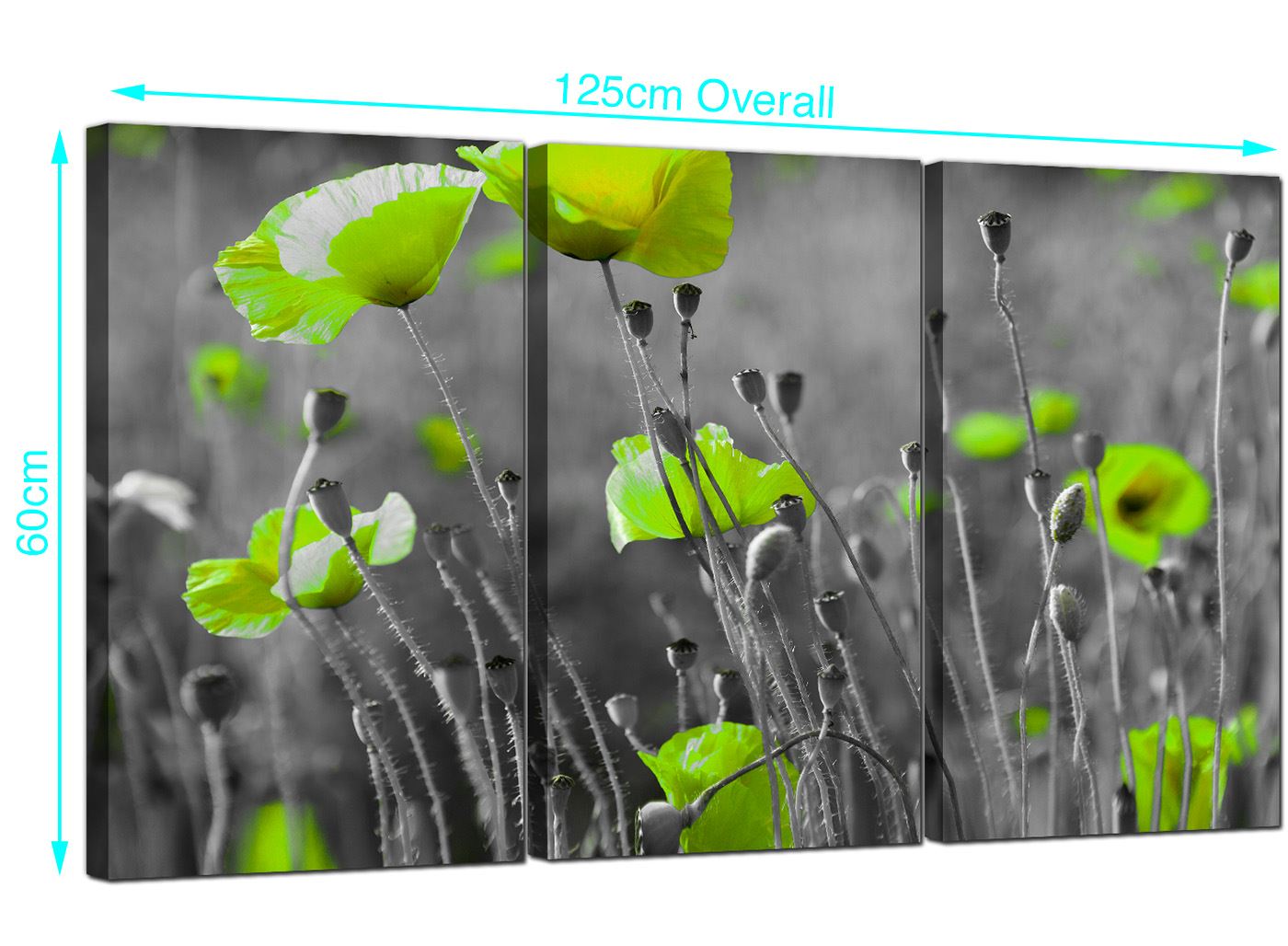 Set Three Cheap Large Lime Green Canvas Art Wall Pictures Prints 3138