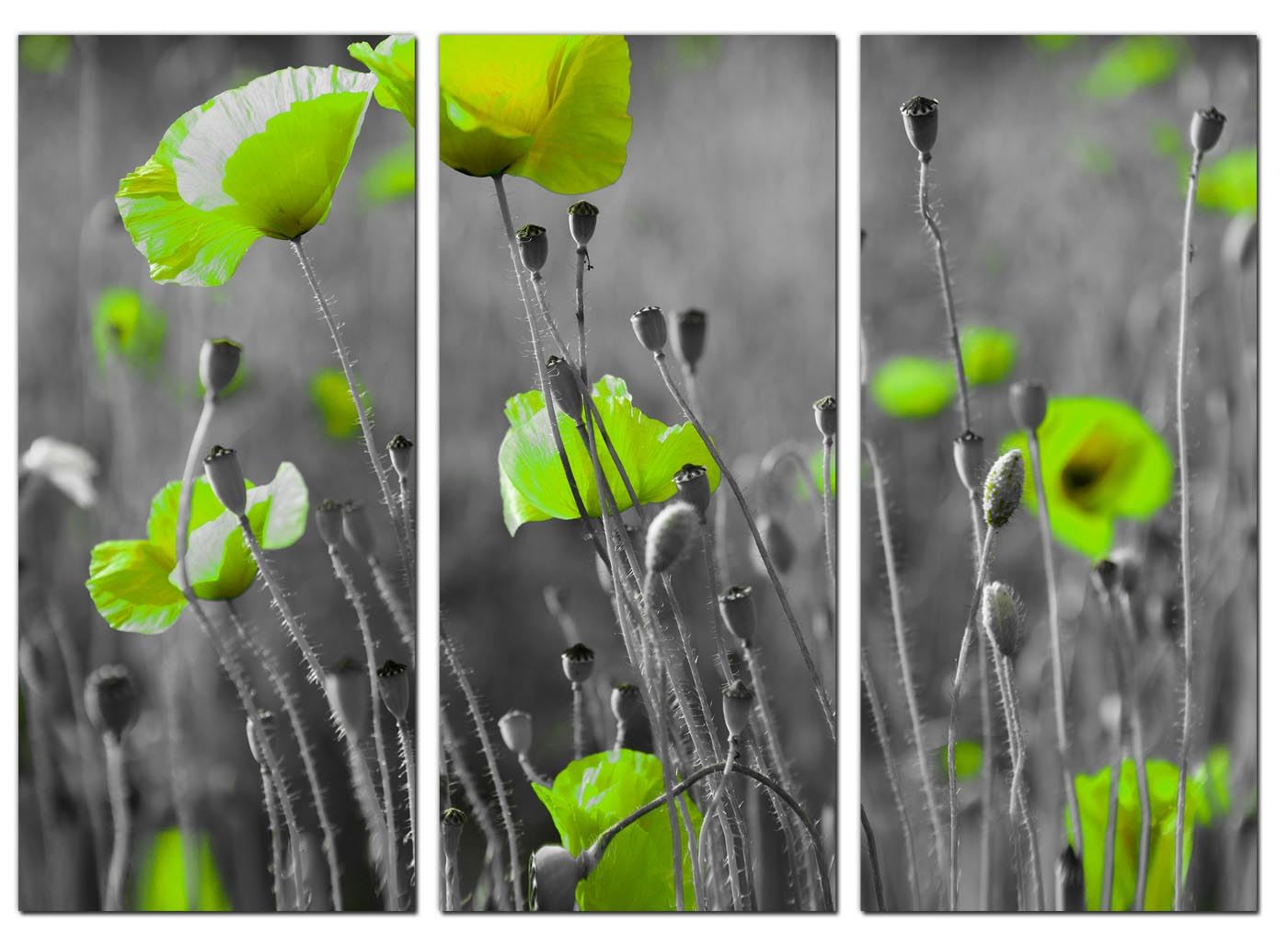 Set Three Cheap Large Lime Green Canvas Art Wall Pictures Prints 3138