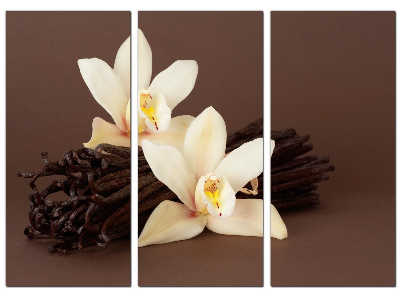 Set of 3 Piece Large Brown Cream Floral Canvas Wall Art