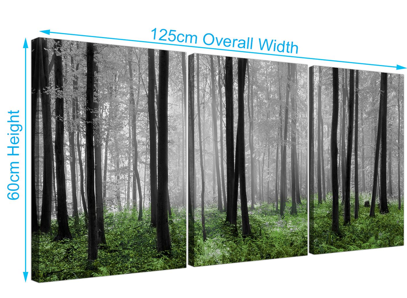 Green Forest Woodland Trees Canvas Pictures 3 Panel Wall Art eBay