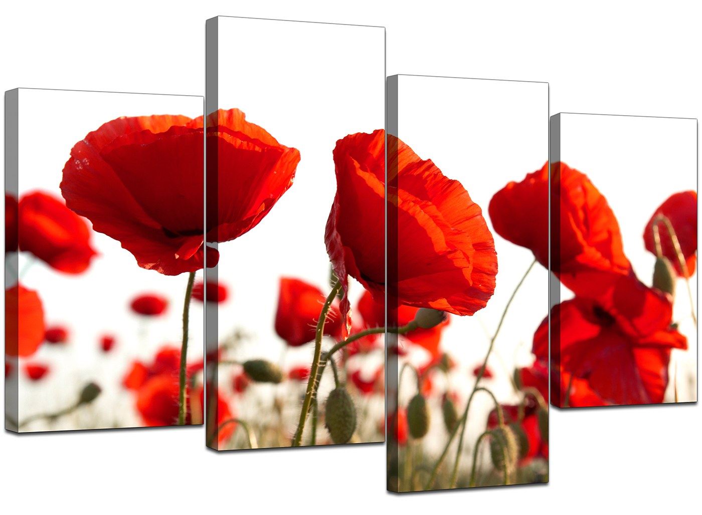 Extra Large Floral Flowers Red Poppy Canvas Wall Art XL Pictures 4056