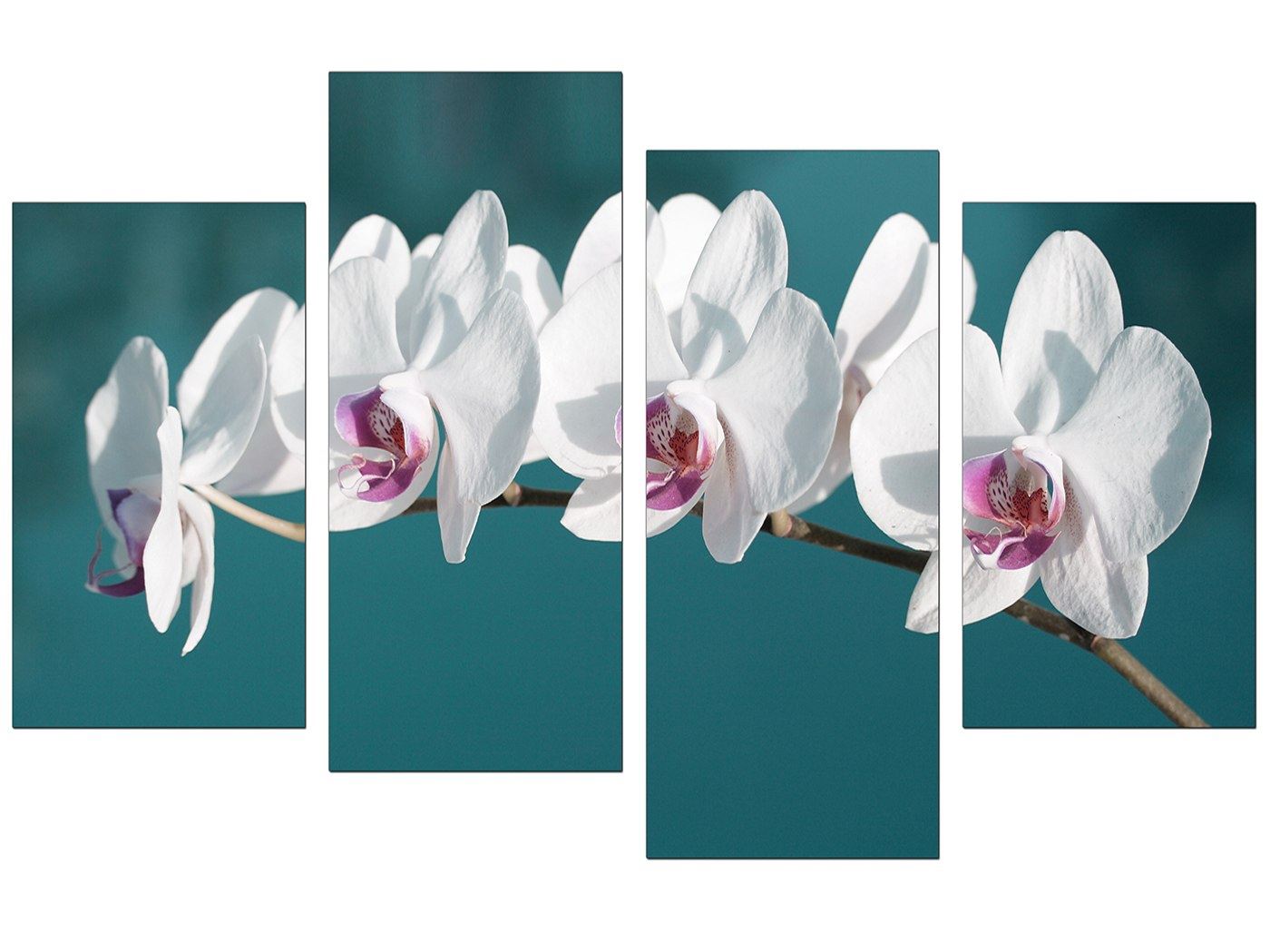 Large Teal White Floral Orchids Canvas Wall Art Prints Pictures 4115