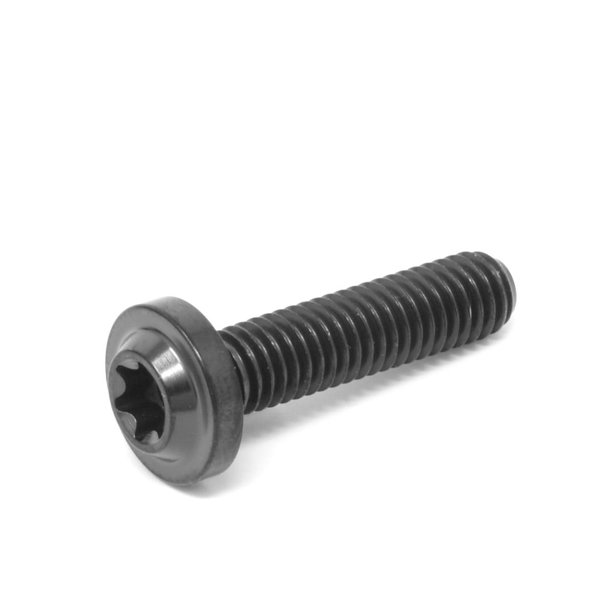 M6 x 25 Titanium Low Profile Torx Washer Head Bolt Screw x 1.0 t30