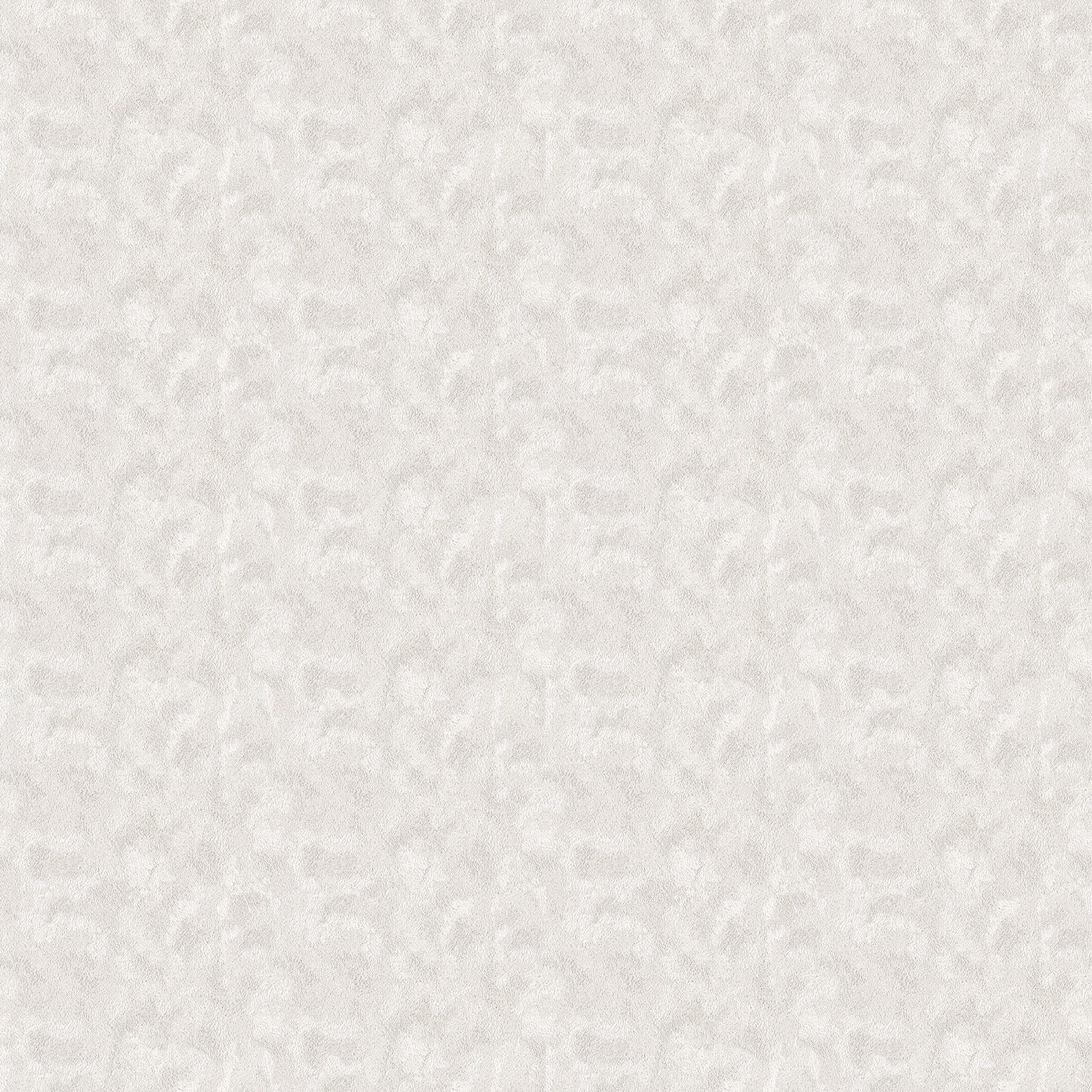 Bild 6 von 148