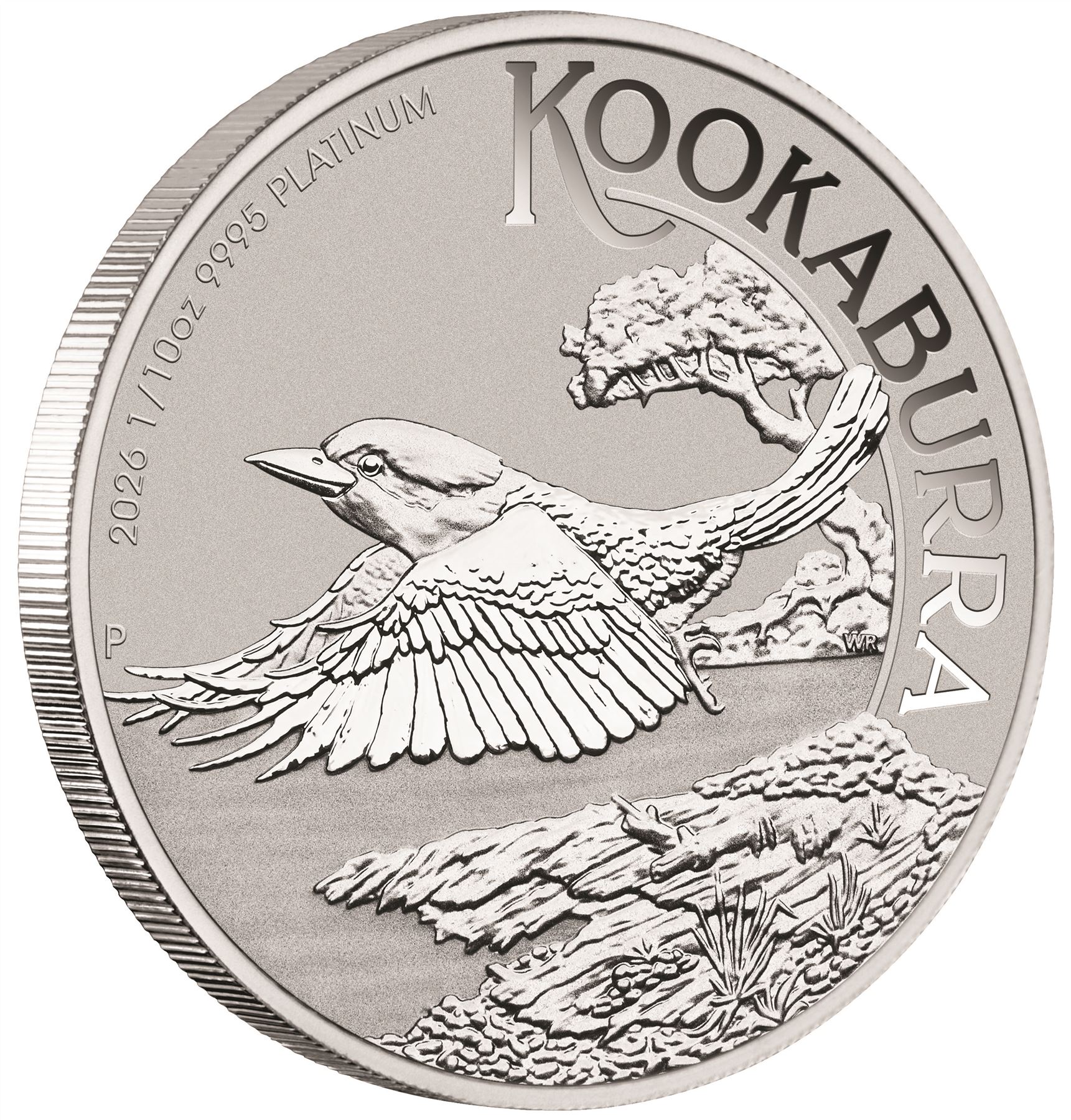 2026 P Australia Platinum Kookaburra 1/10 oz $15 - BU | eBay