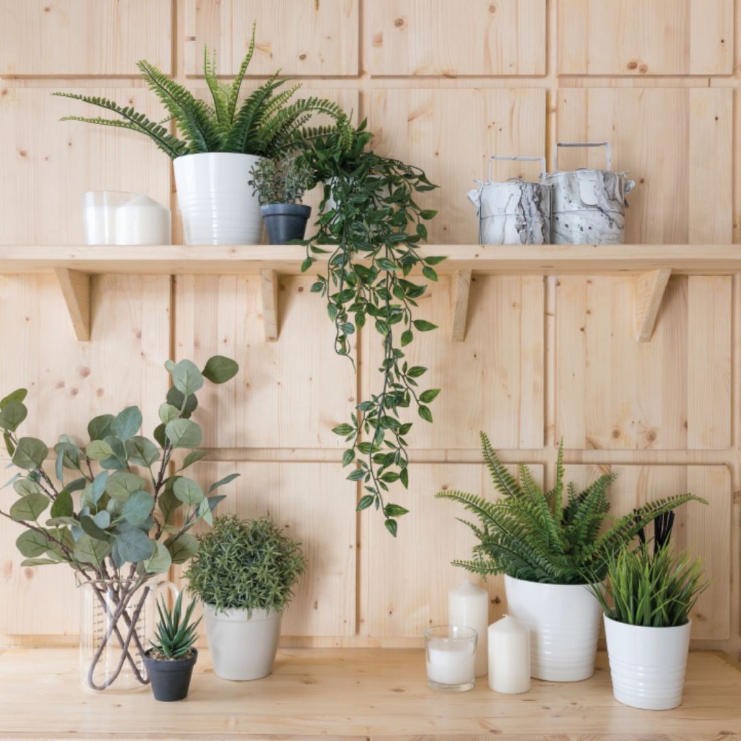 Pine Furniture Board 18mm x 500mm x 1.8m Home and Interior Softwood DIY - Produktbild 1