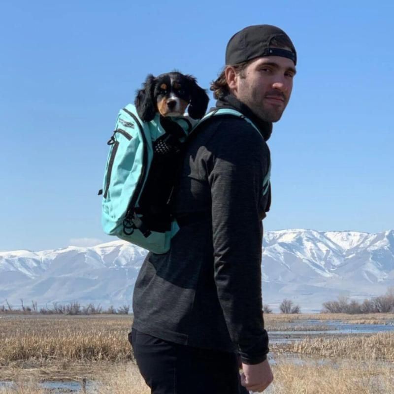 K9 Sport Sack Plus 2 Backpack Mint Large