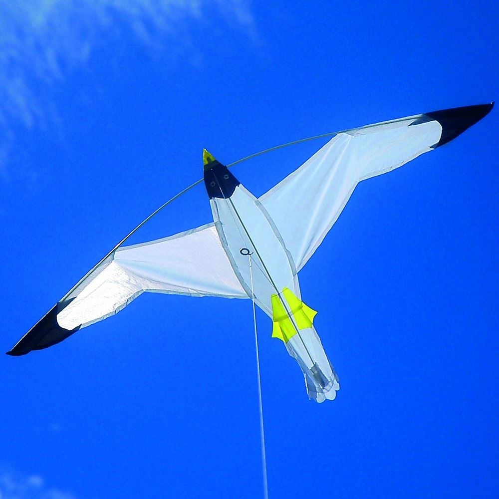 Brookite Animal Bird Single Line Kids Fibreglass Frame Nylon Kite Kites eBay