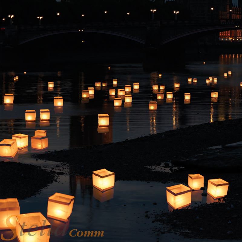 10 Floating Water Lanterns Lantern & Candle Tea Lights Garden Wedding