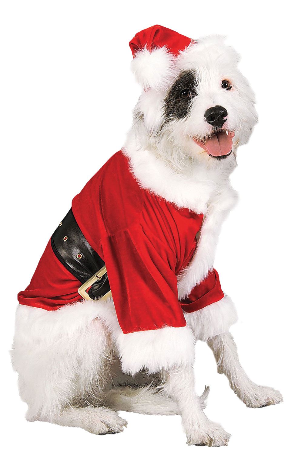 Puppy santa outfit Clearance
