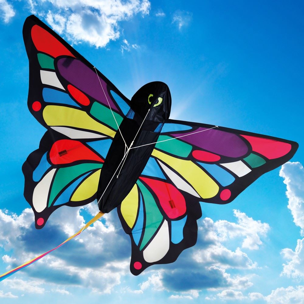 Brookite Animal Bird Single Line Kids Fibreglass Frame Nylon Kite Kites eBay