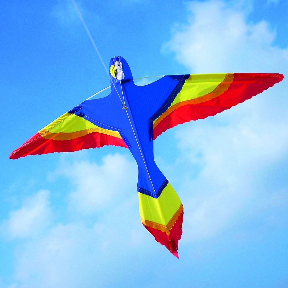 Brookite Animal Bird Single Line Kids Fibreglass Frame Nylon Kite Kites