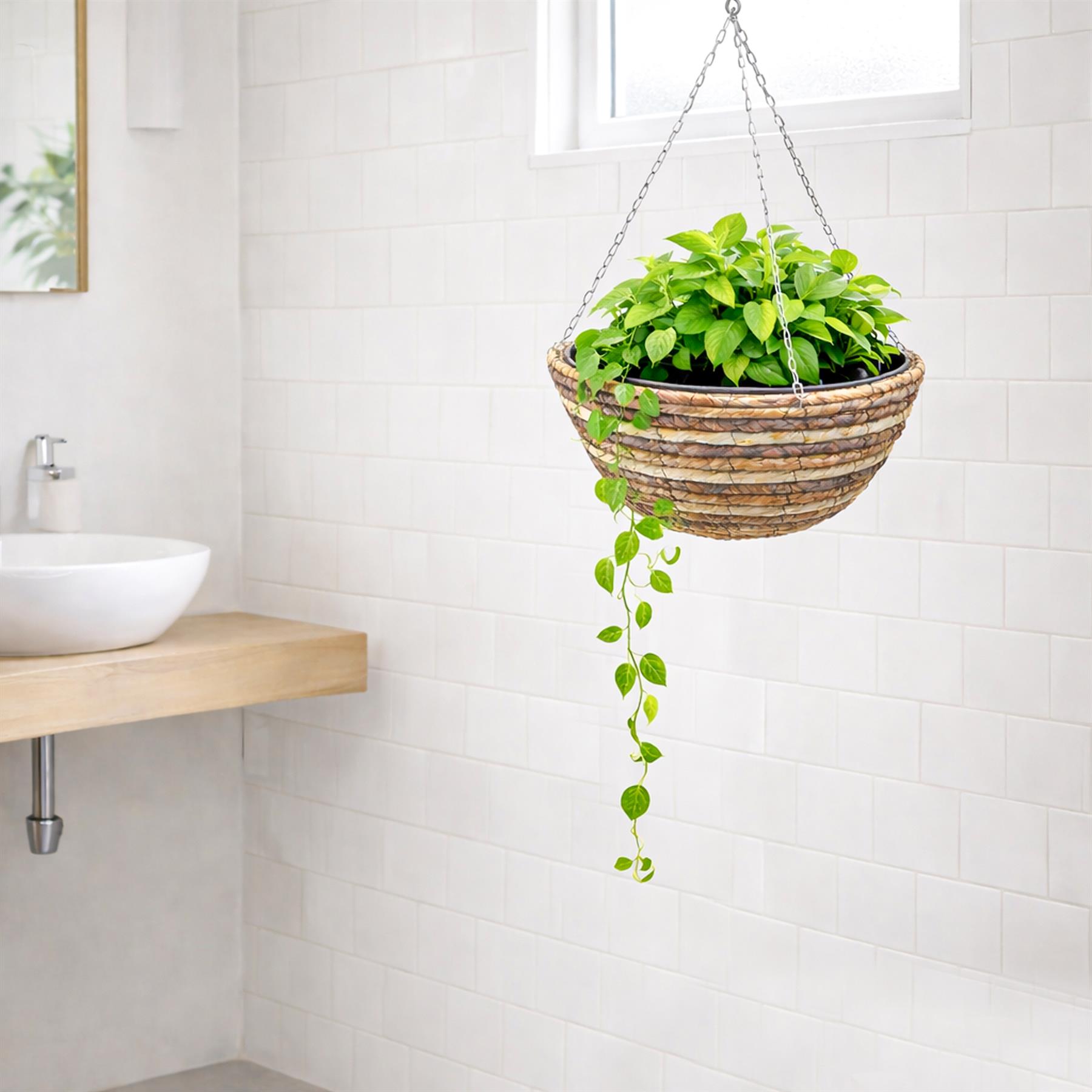 Hanging Basket With Liner and Hanging Hook Chain Indoor Outdoor 12 or14 Inch