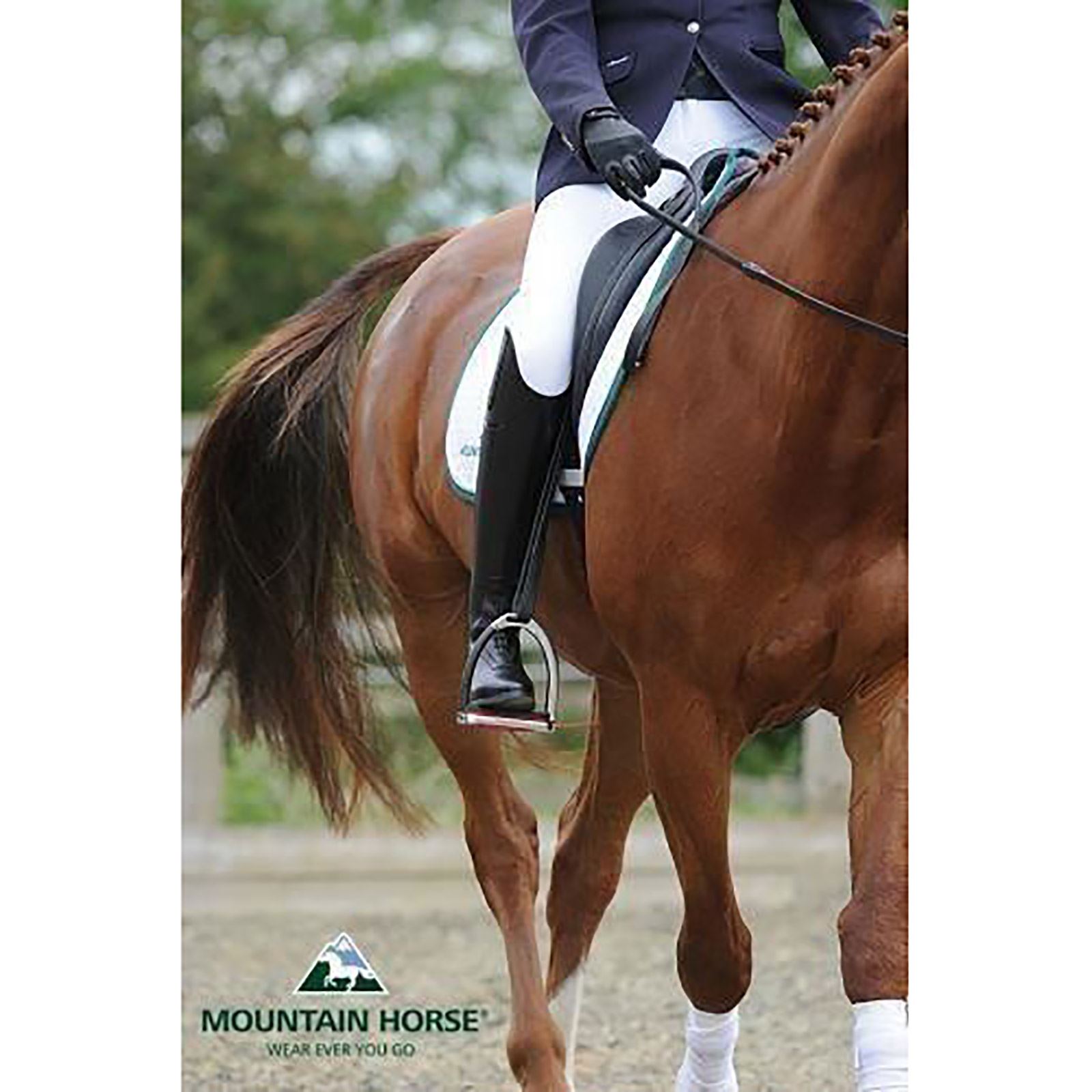 mountain horse sovereign high rider