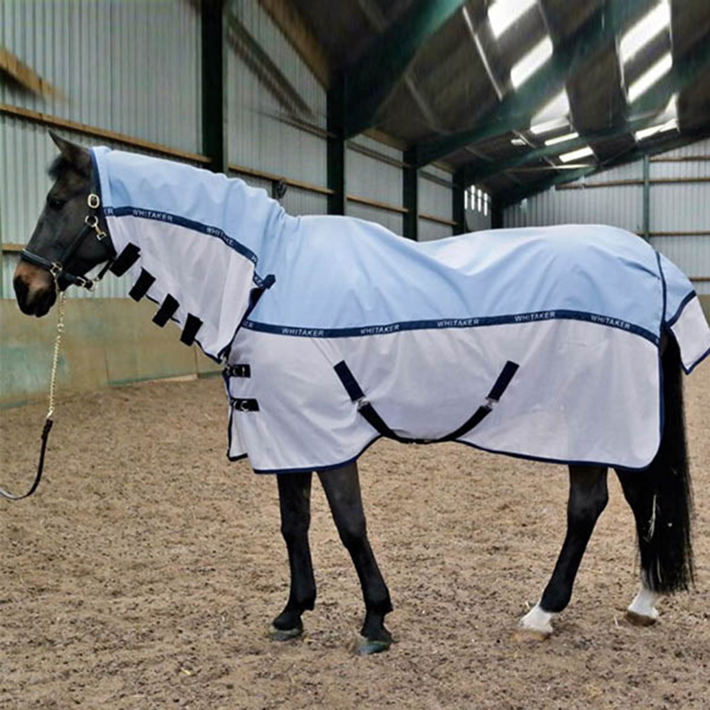 John Whitaker Unisex Midgley Mesh Fly Mesh Midgley Rug Water Resistant Lightweight 1af33c John Whitaker Unisex Midgley Mesh Fly Mesh Midgley Rug Water Resistant Lightweight 1af33c