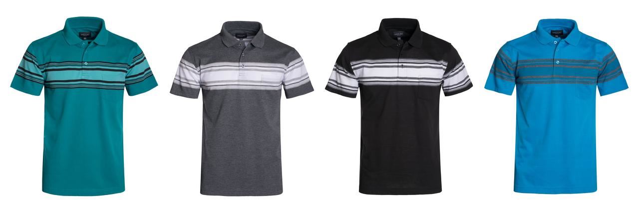 Download HAWKS BAY MEN'S STRIPE POLO JERSEY SHORT SLEEVE TOP ...