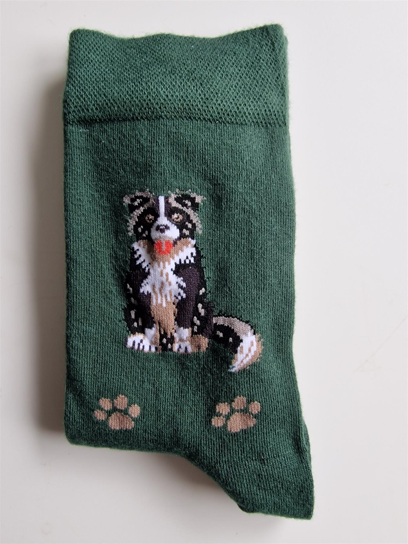 Ladies Dog Lover Novelty Socks Paw Print Bamboo Blend 4-8 - Picture 10 of 35