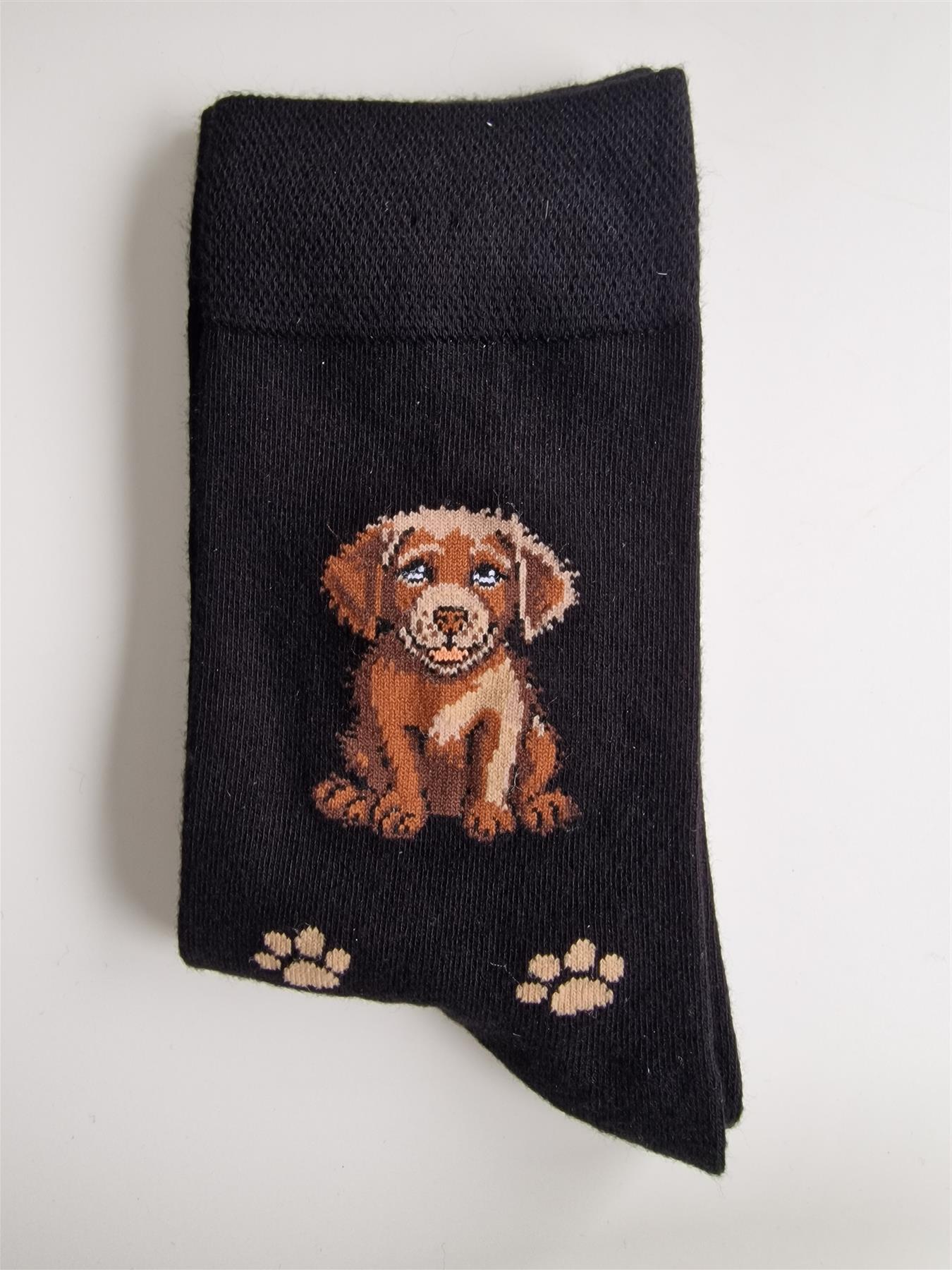 Ladies Dog Lover Novelty Socks Paw Print Bamboo Blend 4-8 - Picture 23 of 35