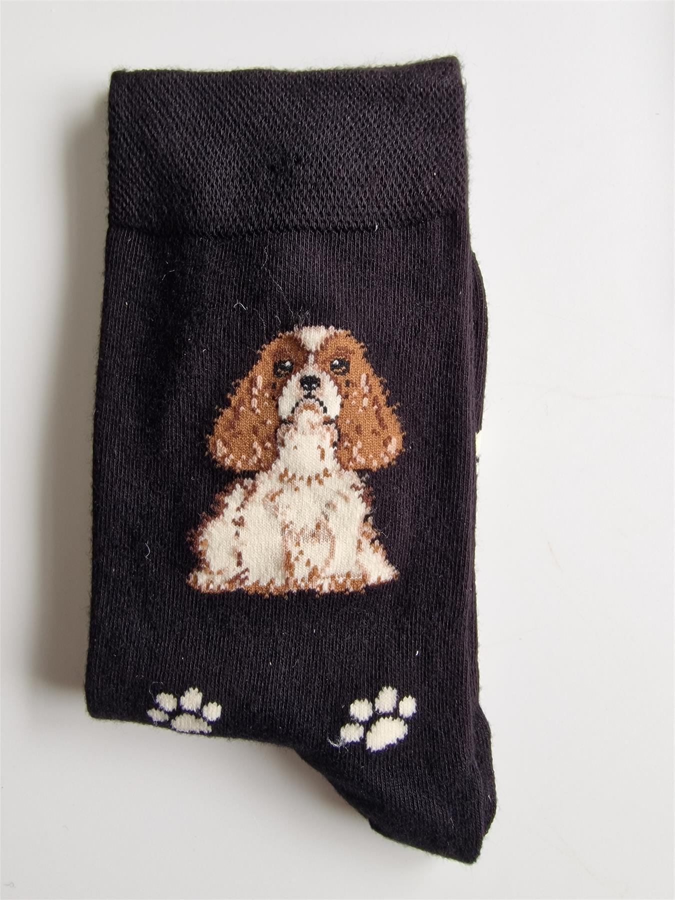 Ladies Dog Lover Novelty Socks Paw Print Bamboo Blend 4-8 - Picture 21 of 35