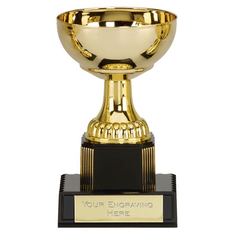 Bargain Budget Presentation Cup Trophy School/ Sports Awards FREE