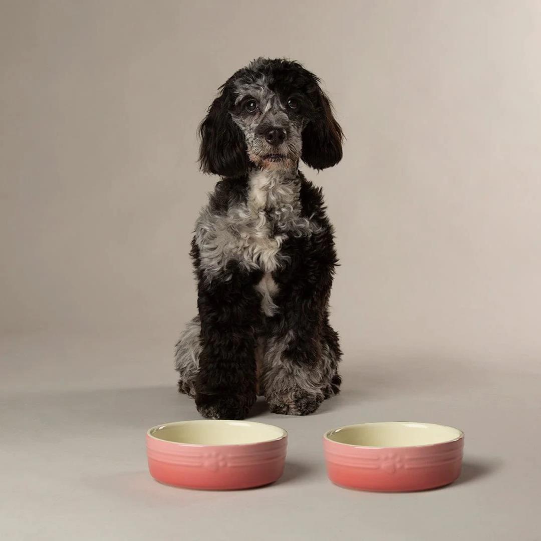 Hund Katze Futternapf Haustier alle Rassen Größen Wasser Untertasse Keramik elegant ombre rosa - Bild 8 von 15