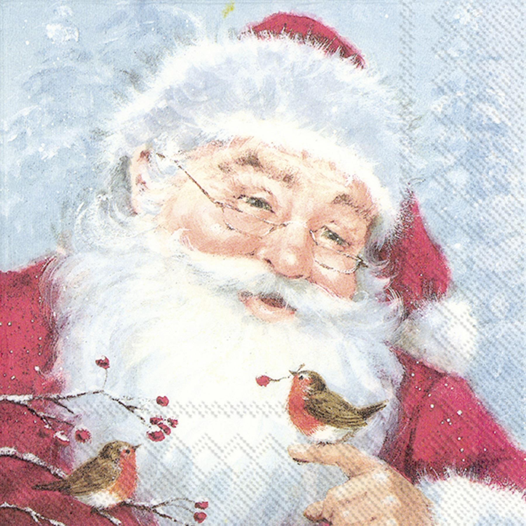 Friendly Santa Christmas Paper Napkins Lunch Cocktail 3-ply Festive Serviettes