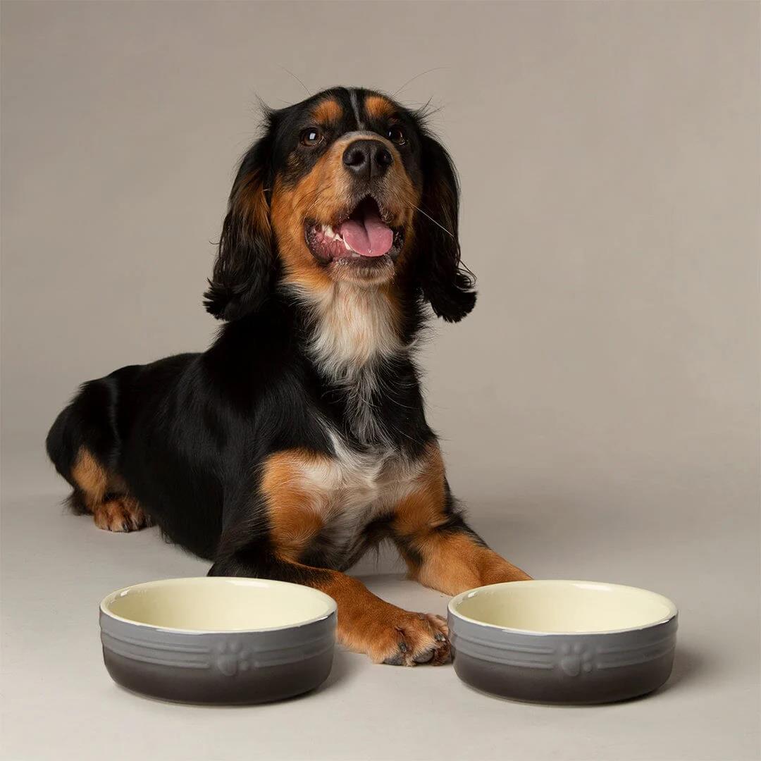 Hund Katze Futternapf Haustier alle Rassen Größen Wasser Untertasse Keramik Elegant Ombre Grau - Bild 8 von 15