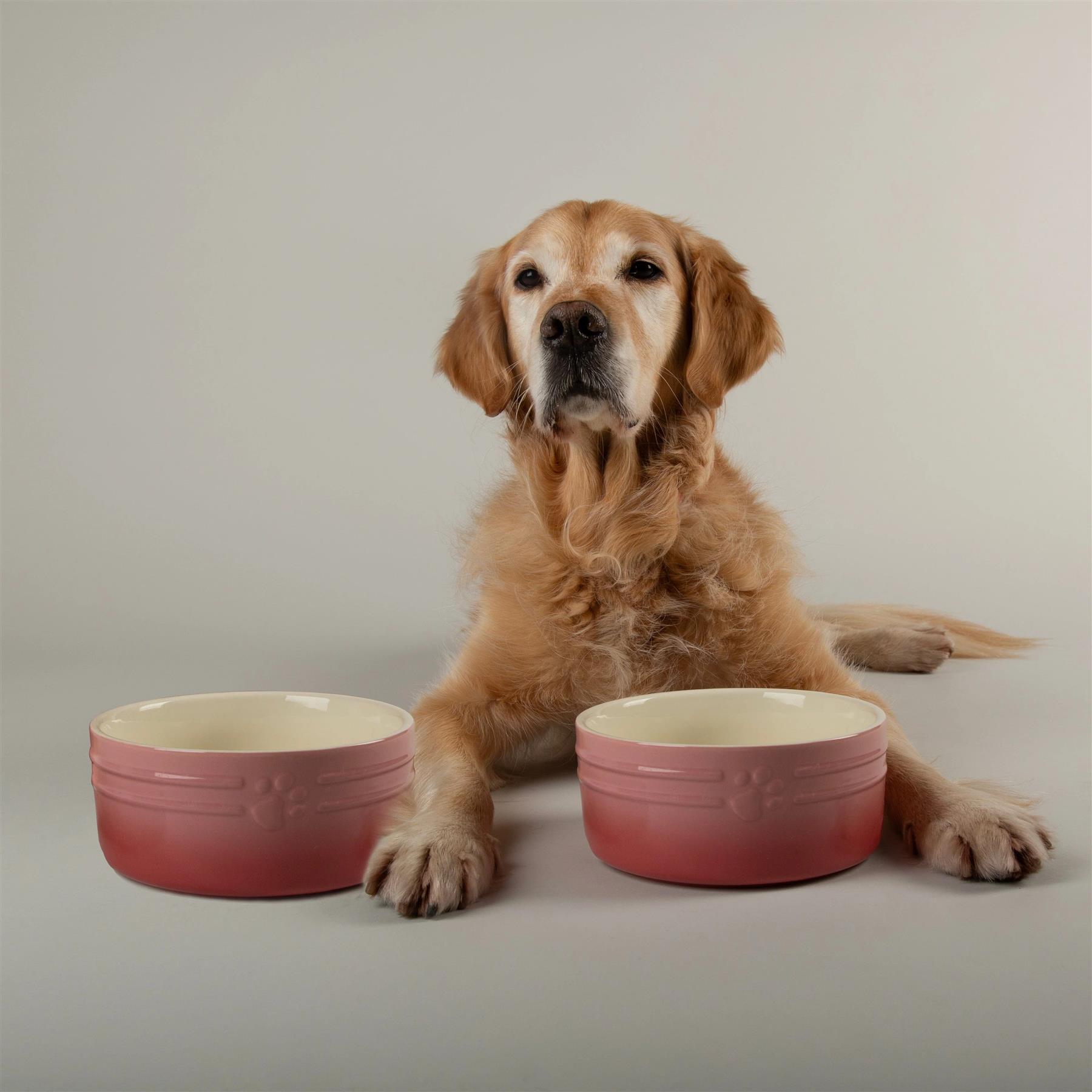 Hund Katze Futternapf Haustier alle Rassen Größen Wasser Untertasse Keramik elegant ombre rosa - Bild 11 von 15
