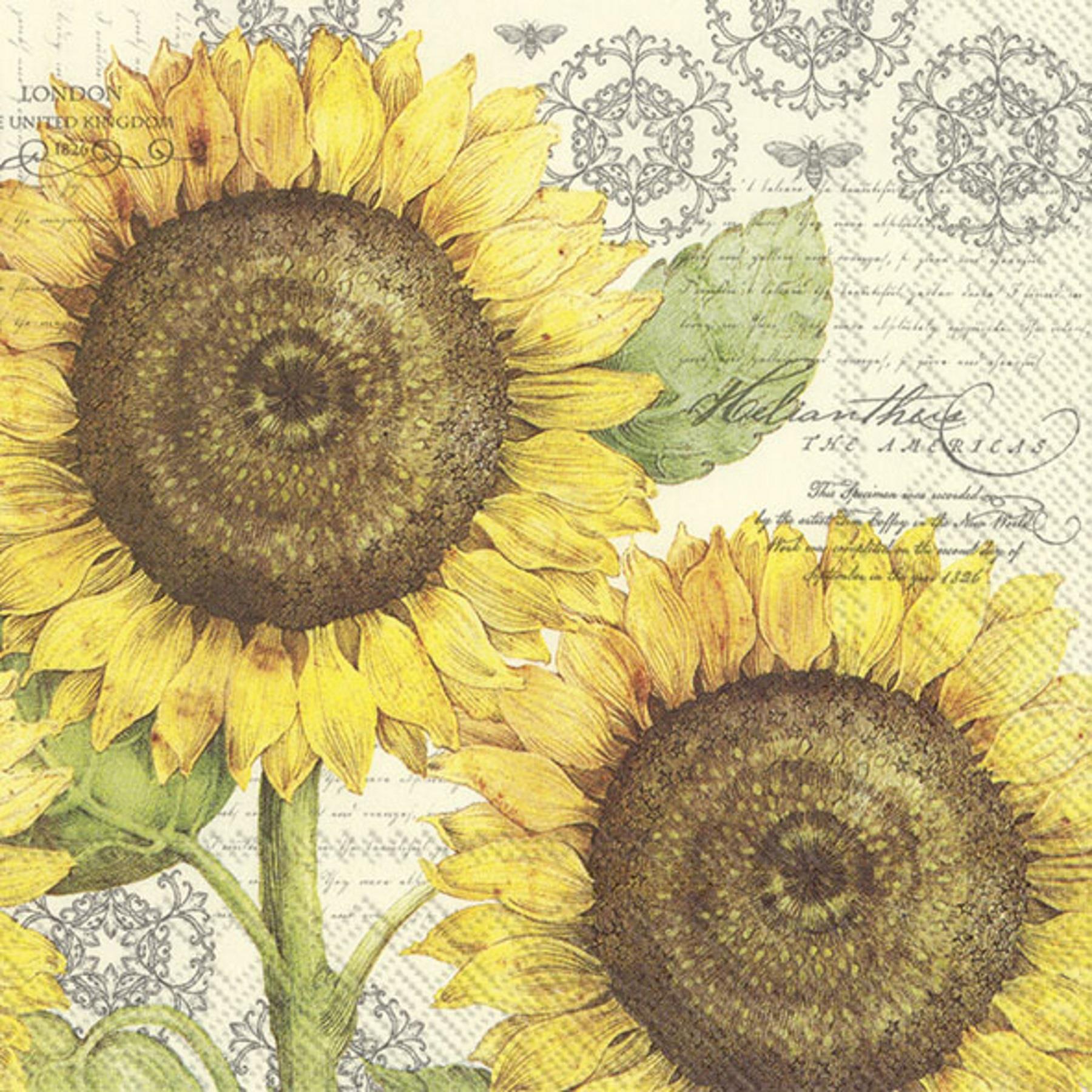 Botanical Sunflower Cream Paper Luncheon Cocktail Napkins Disposable Serviettes