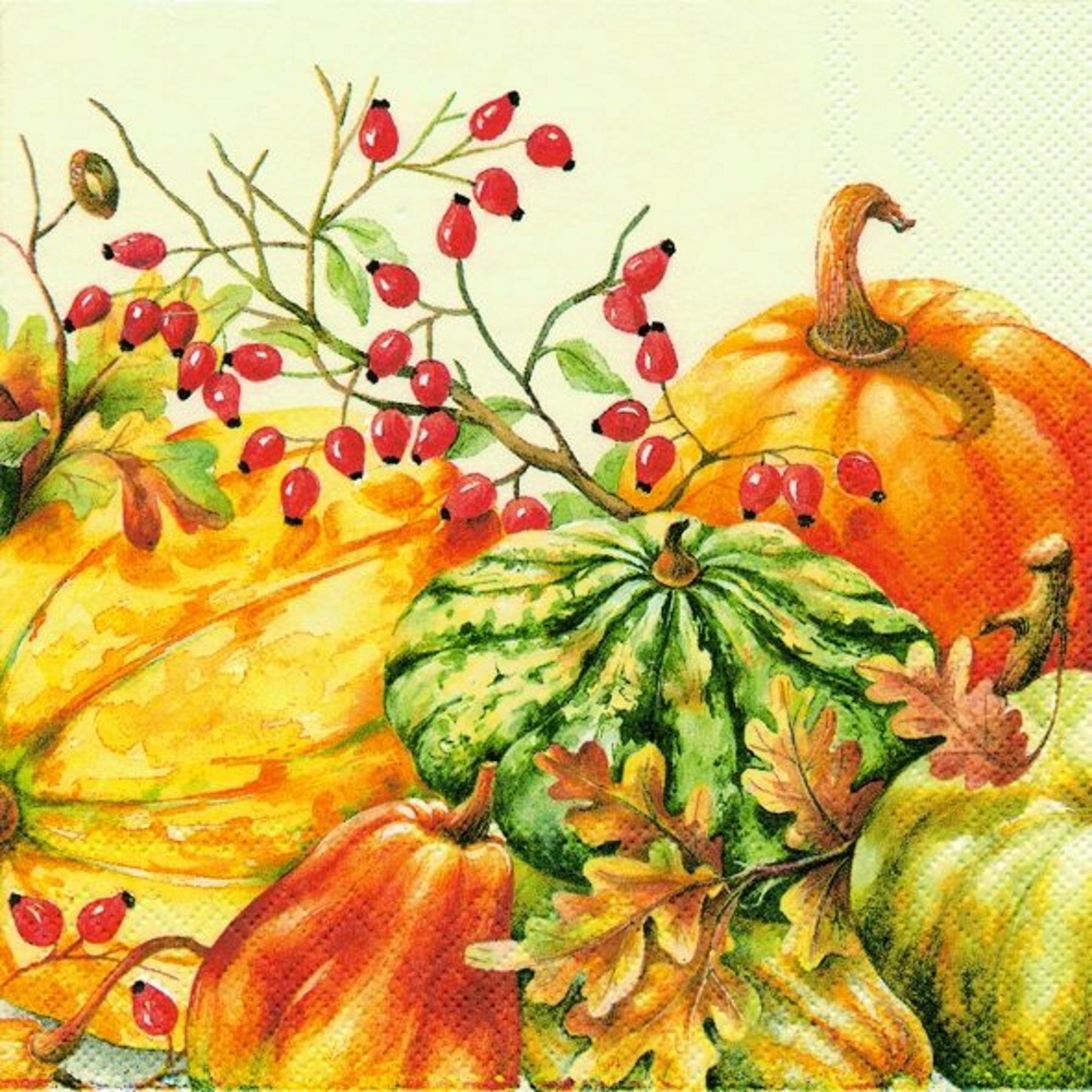 Calabaza Cream Pumpkin Paper Lunch Cocktail Napkins 3-ply Disposable Serviettes - Picture 2 of 3