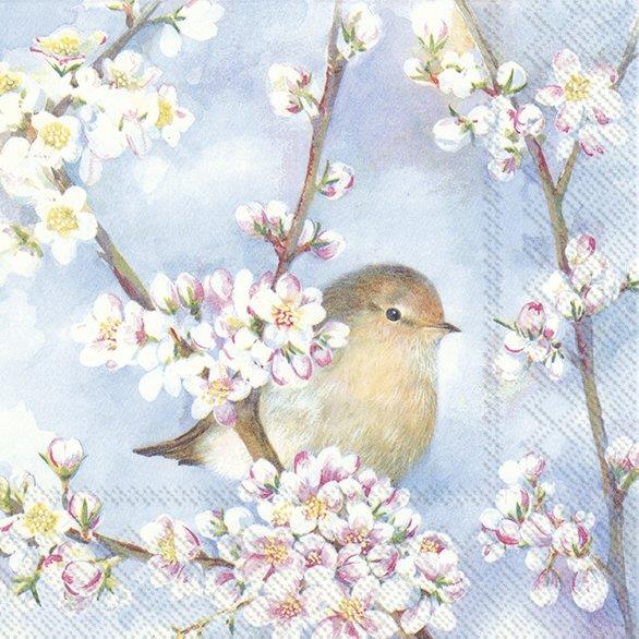 Harmony Paper Napkins Floral Bird Blue 3-Ply Lunch Cocktail Party Serviettes
