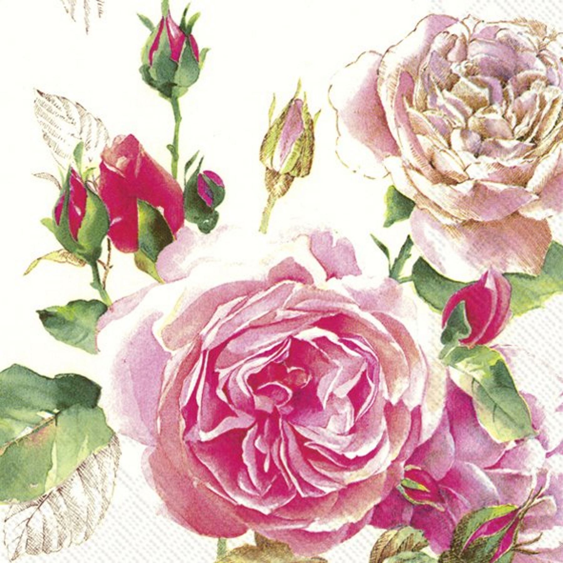 Tea Rose White Floral Paper Tissue Napkins Lunch Cocktail Serviette 20pk